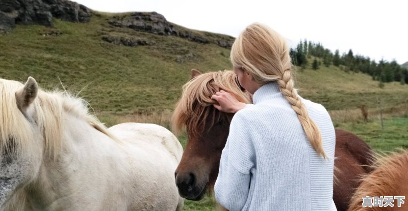 1、小马国女孩星光熠熠的电影叫什么，适合女孩子看的动漫推荐2022年最新版电影 - 真时天下