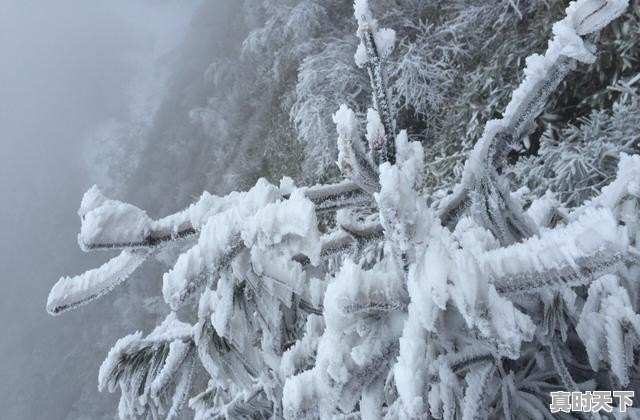 达州今天下雪了吗,八台山天气 - 真时天下