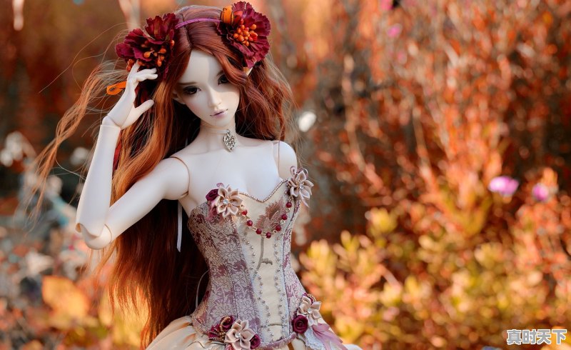 1、十部废柴逆天修仙的动漫,动漫推荐修仙党 - 真时天下