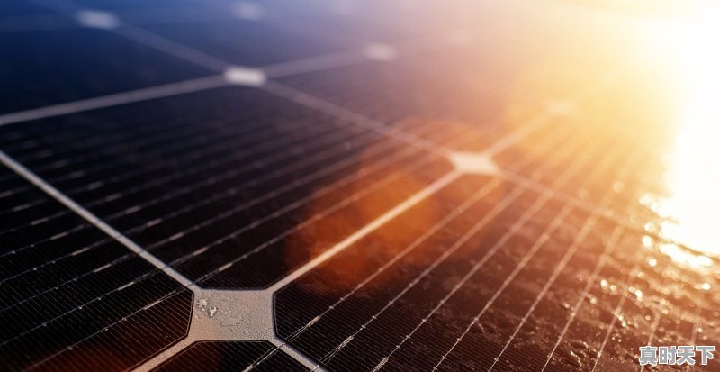 1、2022深圳还有人才补贴吗，深圳市科技创新专项补助资金办法规定 - 真时天下