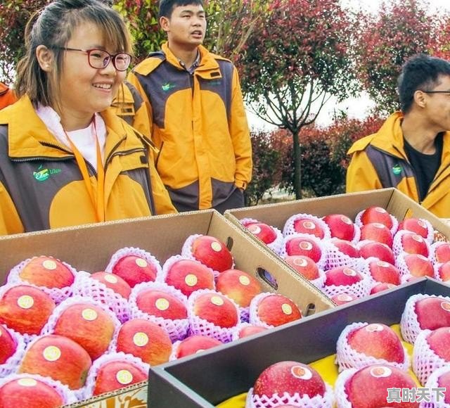 乡村旅游将会带动乡村振兴吗_黑龙江哪的碴子最好 - 真时天下