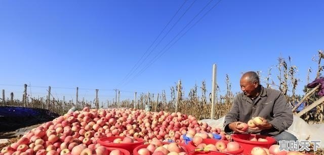 1、好听的王者荣耀昵称女_王者游戏名字女生酷 - 真时天下