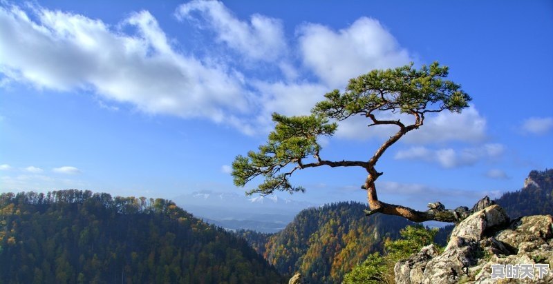 定海区盘峙村有造桥的希望吗_宁波哪里看日出可以比较有感觉 - 真时天下