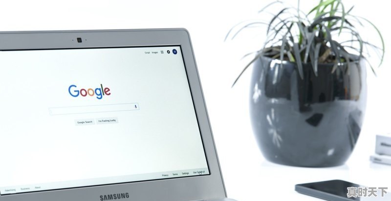 1、可以免费看动漫不要会员的软件？可以搜索东西？内容超全什么都有,超燃动漫推荐不用vip电影 - 真时天下