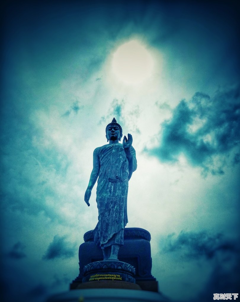 1、2020威尼斯国际电影节影帝影后_历届金鸡奖影帝影后获奖名单 - 真时天下