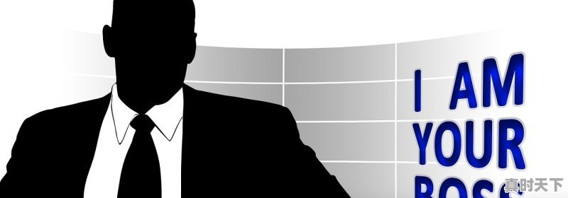 1、全是刀子的动漫_时光带刀人的导演 - 真时天下