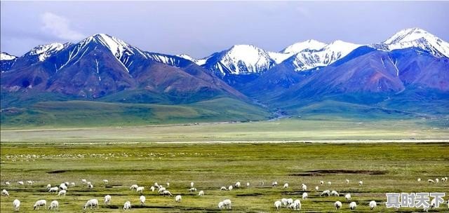 酒泉到卓尔山自驾游攻略_卓尔山风景区有必要进去吗 - 真时天下