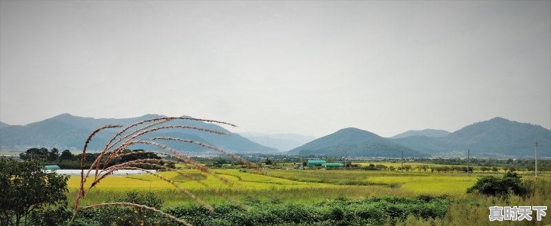 丽江一年天气情况_丽江天气预报连续下雨影响游玩吗 - 真时天下