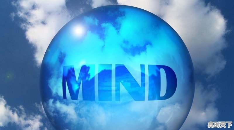 1、如何贯彻落实强化科技创新驱动，引领现代农业发展_十四五推进农业现代化新举措 - 真时天下