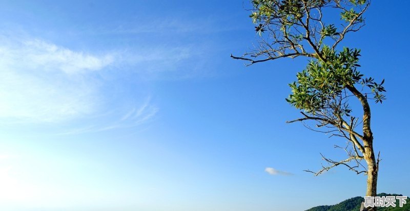 1、天气热好钓鱼吗,天气与钓鱼 - 真时天下