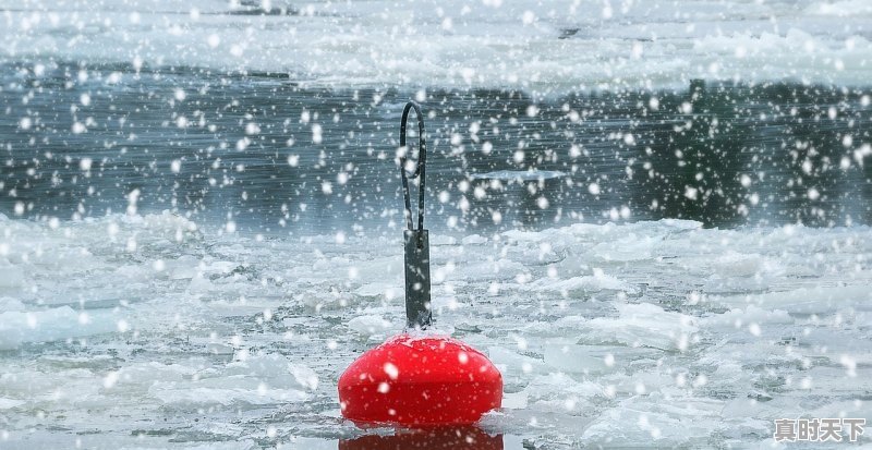 1、砀山梨花被冷空气冻了吗，砀山天气. - 真时天下