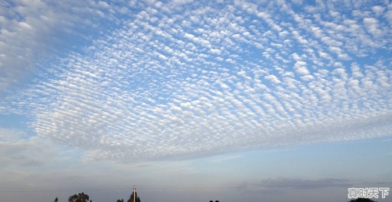 1、仁怀的气候特点是什么气候，今天仁怀天气 - 真时天下