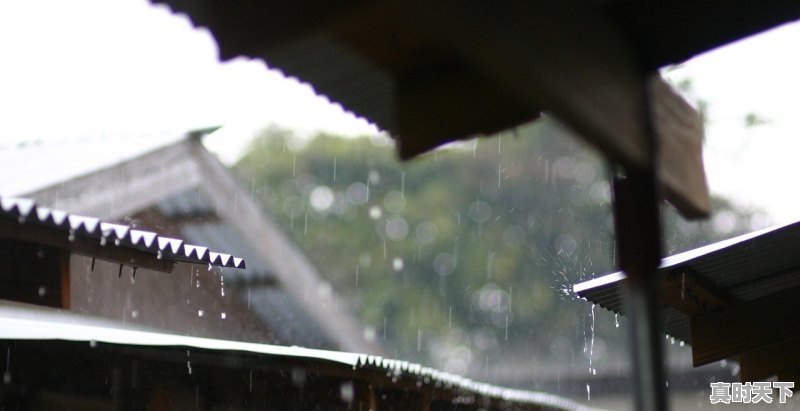 下雨阳朔能坐竹筏吗_阳朔最近天气 - 真时天下