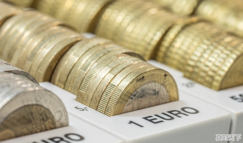 1、股票每天买卖能赚钱吗多少钱,股票每天买卖能赚钱吗多少钱 - 真时天下