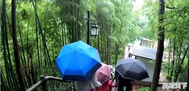 黄山的11月中旬的天气多少度_下雨天去黄山旅游好玩嘛 - 真时天下