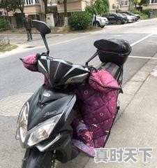 闲鱼上卖的车那么便宜靠谱吗，低价二手车真假的 - 真时天下