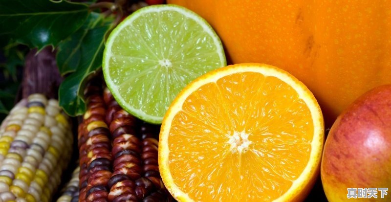 1、先玉1483玉米种多少钱一袋,玉米苗今日价格 - 真时天下