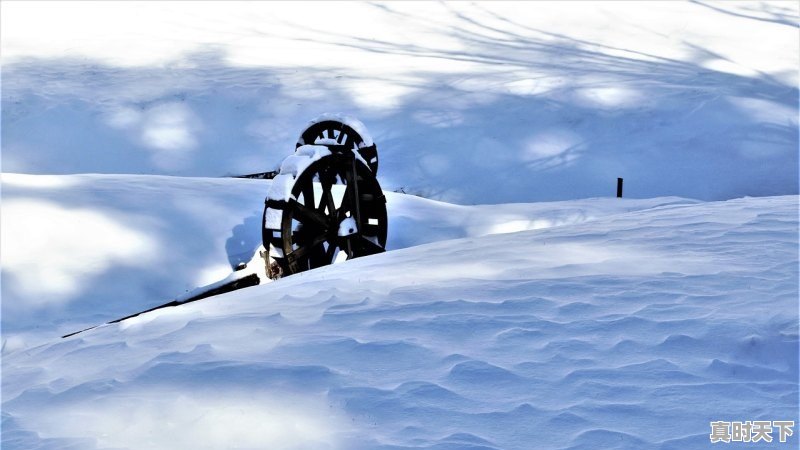 1、抚顺近期会出现暴雪吗，抚顺县天气 - 真时天下