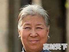 89红楼梦电影版主要演员名单，最新电影版红楼梦贾宝玉 - 真时天下