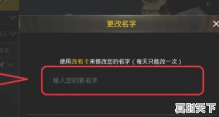 pubg名字为什么会变_绝地求生进去后怎么创建不了名字 - 真时天下