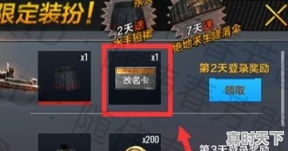 pubg端游如何改名字_pubg怎么改名 - 真时天下