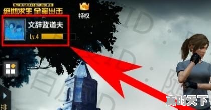 pubg端游如何改名字_pubg怎么改名 - 真时天下