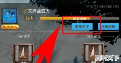 pubg端游如何改名字_pubg怎么改名 - 真时天下