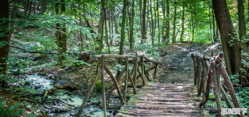 永川十里荷香门票多少钱_永川黄瓜山其中园门票 - 真时天下