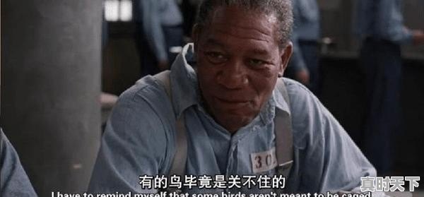 2、推荐好看的电影，日本的韩国的，欧美的都可以_有什么好的电影好看啊 - 真时天下