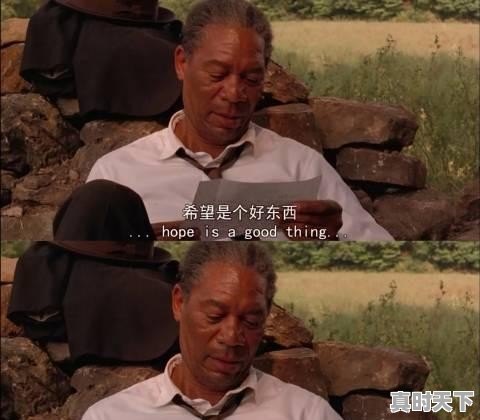 1、推荐好看的电影，日本的韩国的，欧美的都可以_有什么好的电影好看啊 - 真时天下