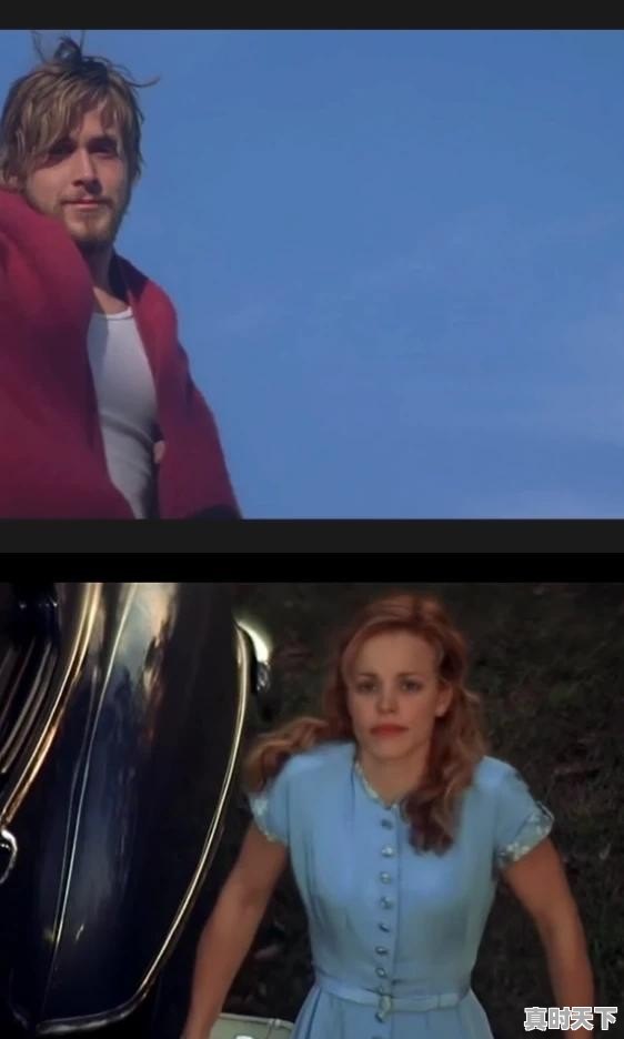 5、推荐好看的电影，日本的韩国的，欧美的都可以_有什么好的电影好看啊 - 真时天下