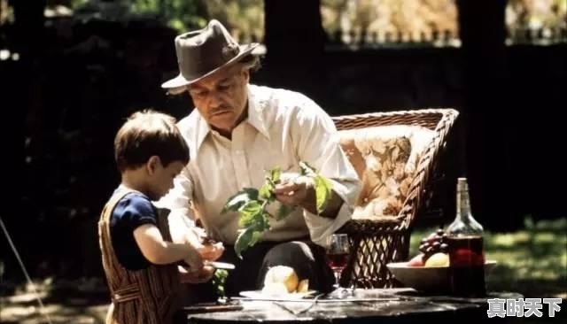 11、推荐好看的电影，日本的韩国的，欧美的都可以_有什么好的电影好看啊 - 真时天下