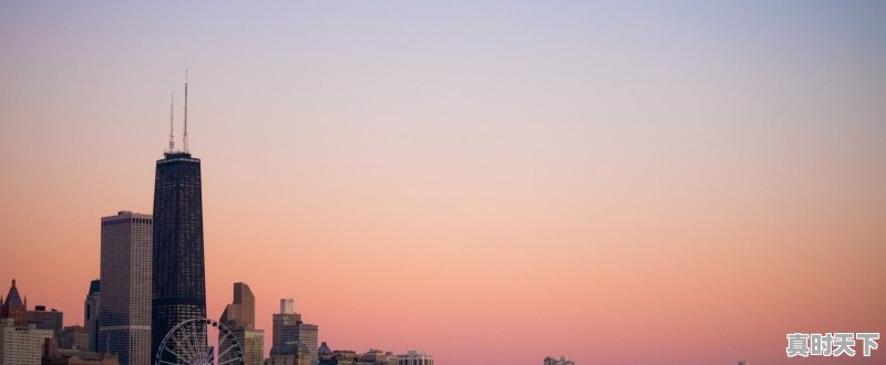 1、韭菜籽采收时间,韭菜吉林今日价格 - 真时天下