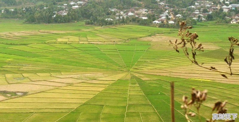 1、上海国际电影节有刘德华吗,上海电影节影帝影后 - 真时天下