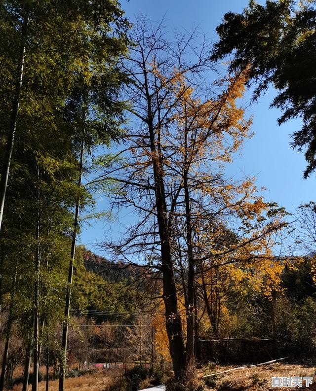 1、股票早上大涨要卖是什么口诀_如何从十大流通股东加减仓选股 - 真时天下