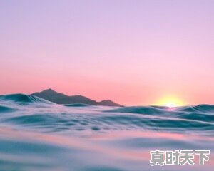 保定博野天气,保定博野天气 - 真时天下