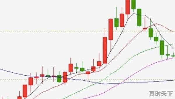 托尼贾主演的全部电影国语,泰国打星托尼贾最新电影 - 真时天下