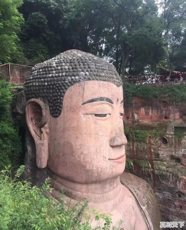 泸州二手车代步车女生多吗,泸州二手车代步车女生多吗 - 真时天下