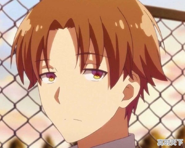 1、二手车保险没有买过怎么办,不懂车怎么去买二手车保险 - 真时天下