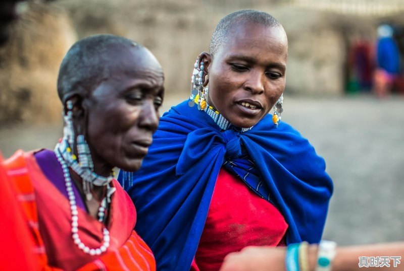 1、2023泰国已上映电影有哪些_当邪恶潜伏时电影上映了吗 - 真时天下