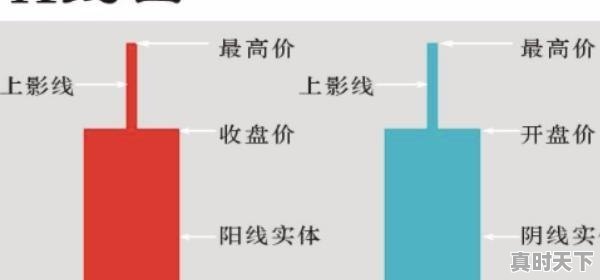 白鹿参加北京国际电影节了吗,北京电影节红毯女星有哪些名字呢 - 真时天下