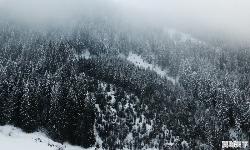 重庆冬天的天气如何,重庆12月份天气 - 真时天下