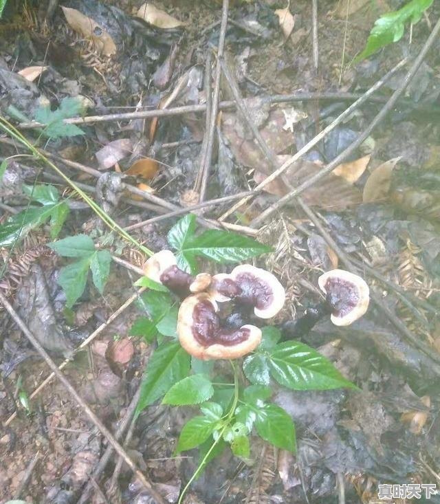 1、混元刀38式分解教学带口令,青龙电影节38 - 真时天下