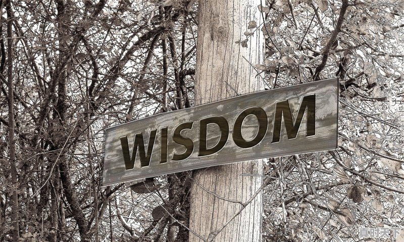 1、关于生物的科技创新知识_采取怎样的策略应对世界能源形势 - 真时天下