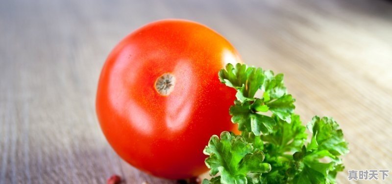 1、戛纳影后华人有几个，戛纳电影节红毯女星有哪些人获奖 - 真时天下