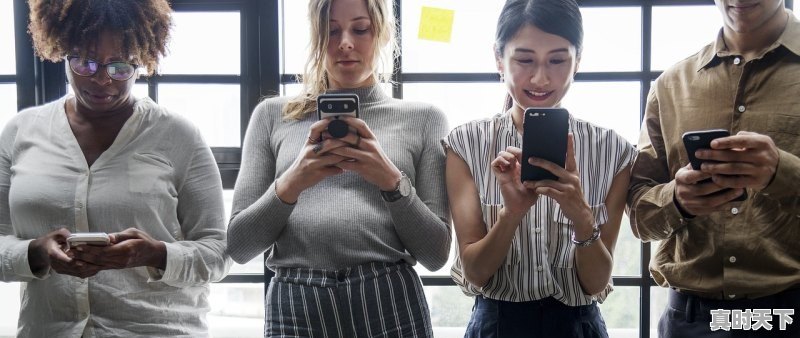 1、王宝强做厨师最新电影,王宝强最新电影是哪一部 - 真时天下