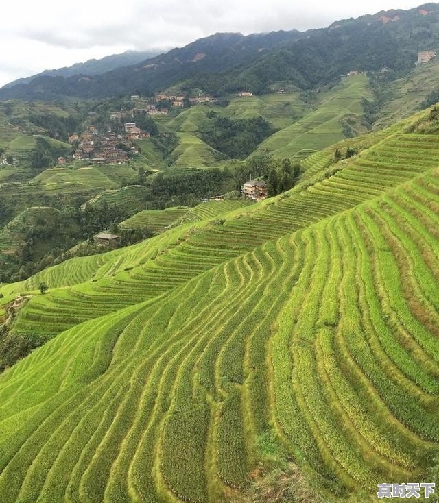 1、威尼斯终身成就奖有谁得过，威尼斯电影节评委有哪些 - 真时天下