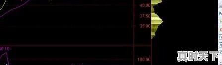 1、范冰冰戛纳介绍_戛纳电影节红毯走几天 - 真时天下