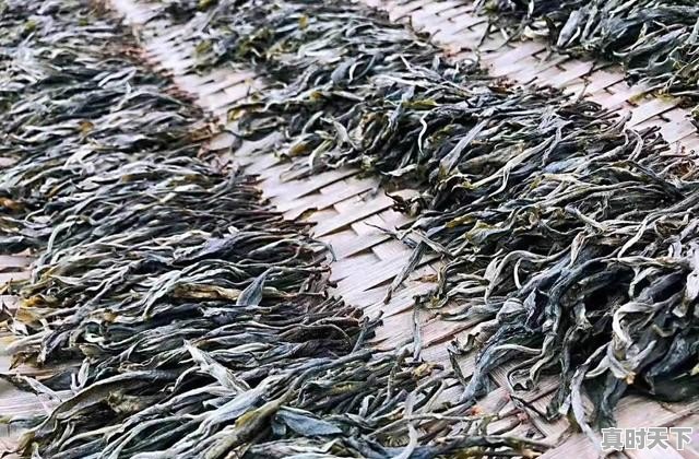 5、陈皮普洱红烧肉怎么做,猪肉今日价格普洱 - 真时天下