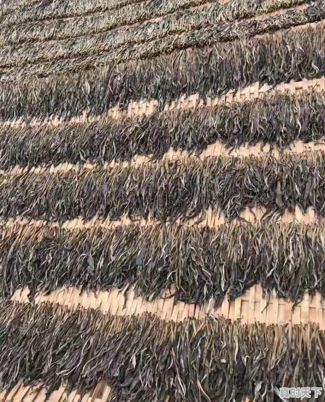 7、陈皮普洱红烧肉怎么做,猪肉今日价格普洱 - 真时天下